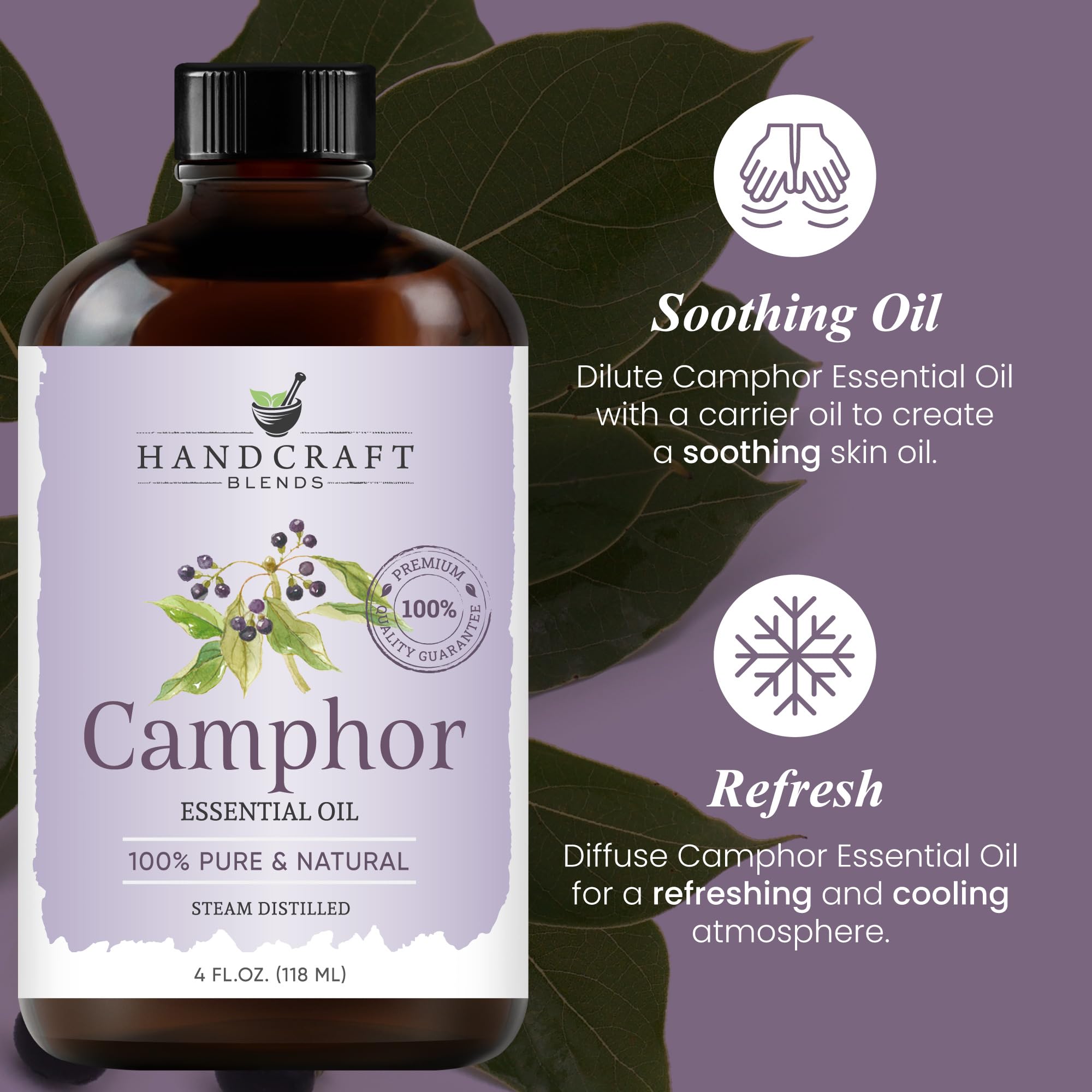 Camphor essential oil for massage and aromatherapy