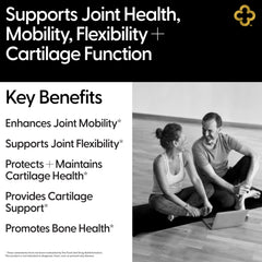 Campio Joint Support ingredients close-up
