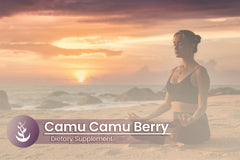 Lab verified purity seal on Camu Camu Berry product