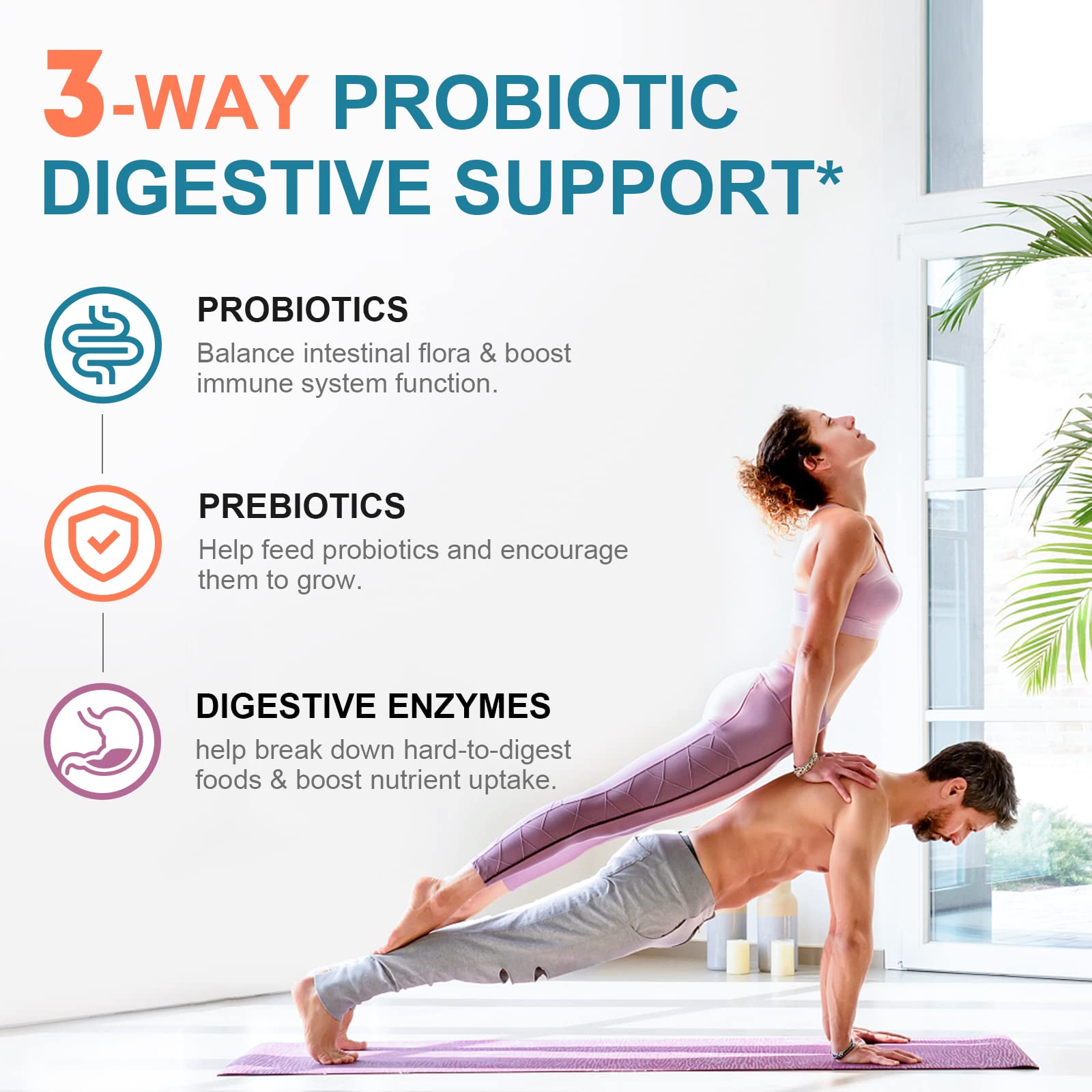 Probiotic capsules with added prebiotics and digestive enzymes