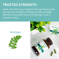 Capsules with antioxidants background