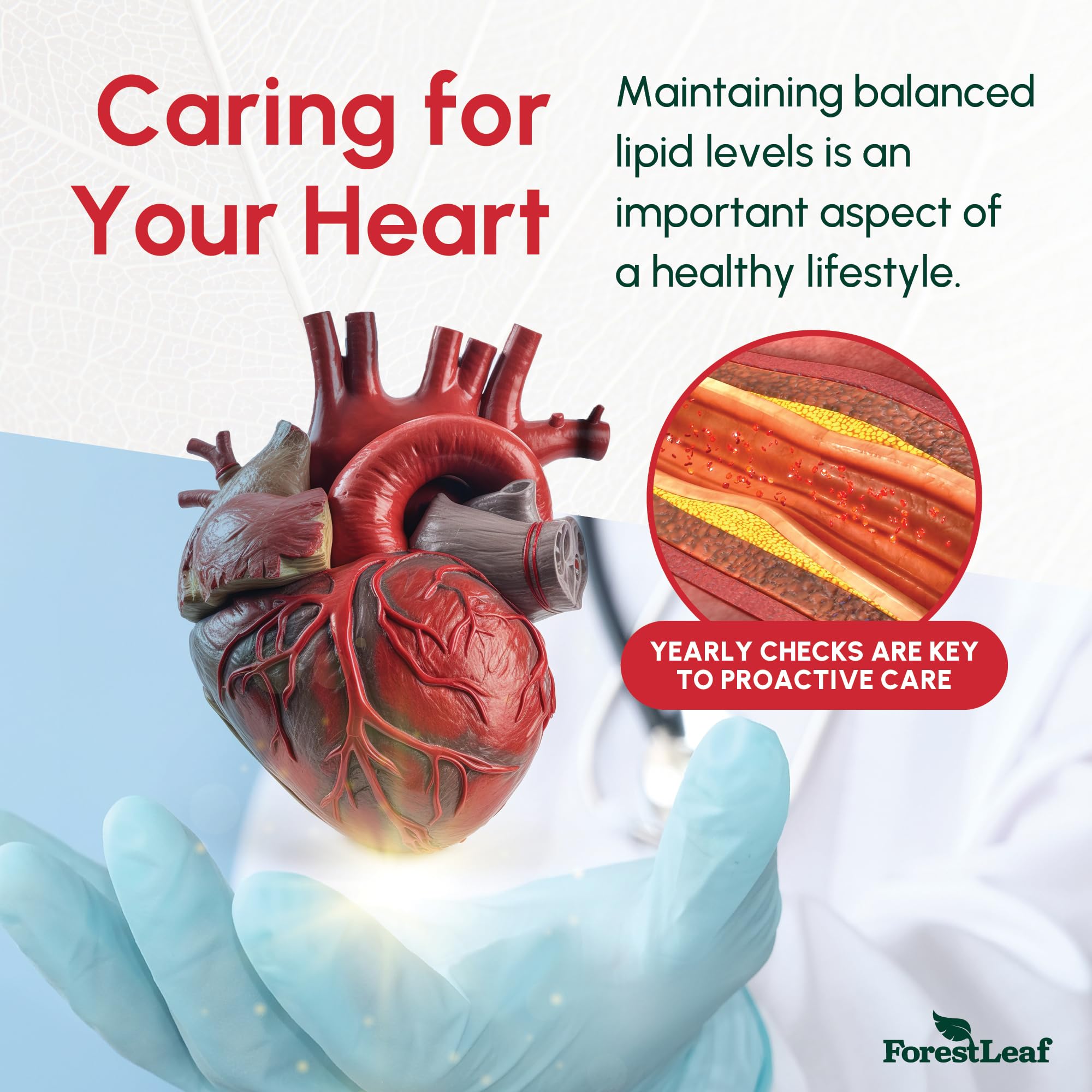 Cardiovascular health support graphic