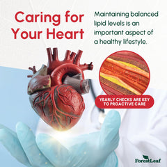 Cardiovascular health support graphic