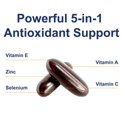 Immune support concept for Carlson ACES + Zn