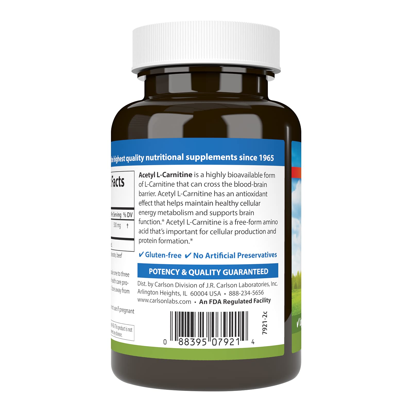 Bottle of Carlson Acetyl L-Carnitine 500 mg with 120 capsules on white background