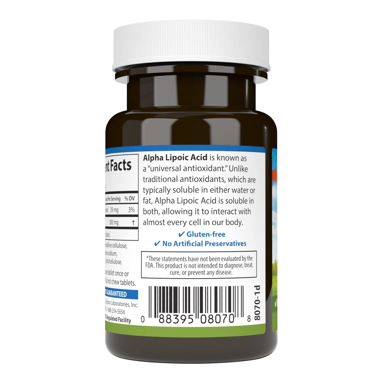 Close-up of alpha lipoic acid tablets