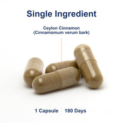Ceylon Cinnamon bark (True cinnamon) illustration