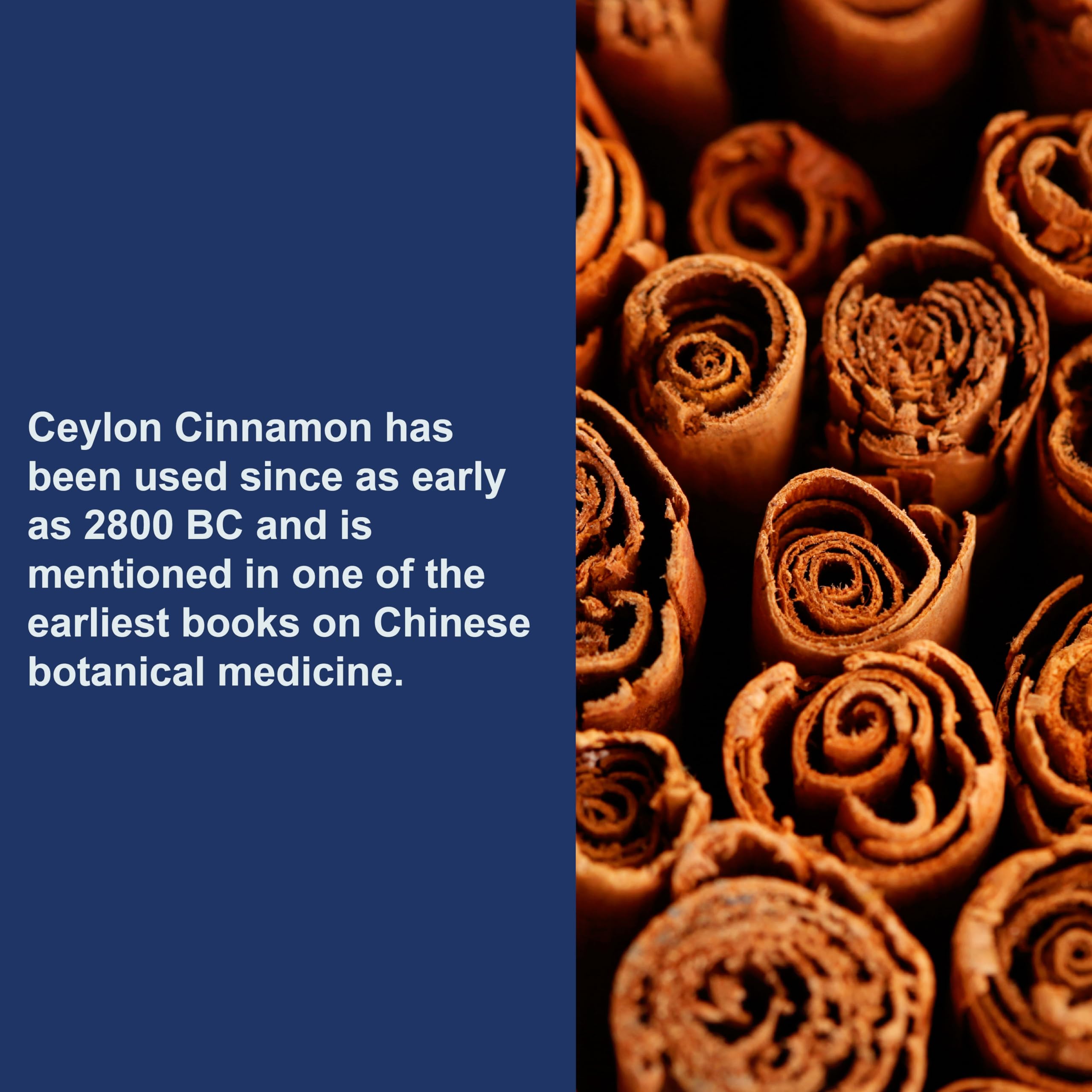 180-count bottle of Cinnamon capsules
