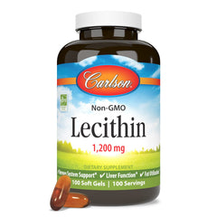 Choline, inositol and phospholipids illustration related to lecithin
