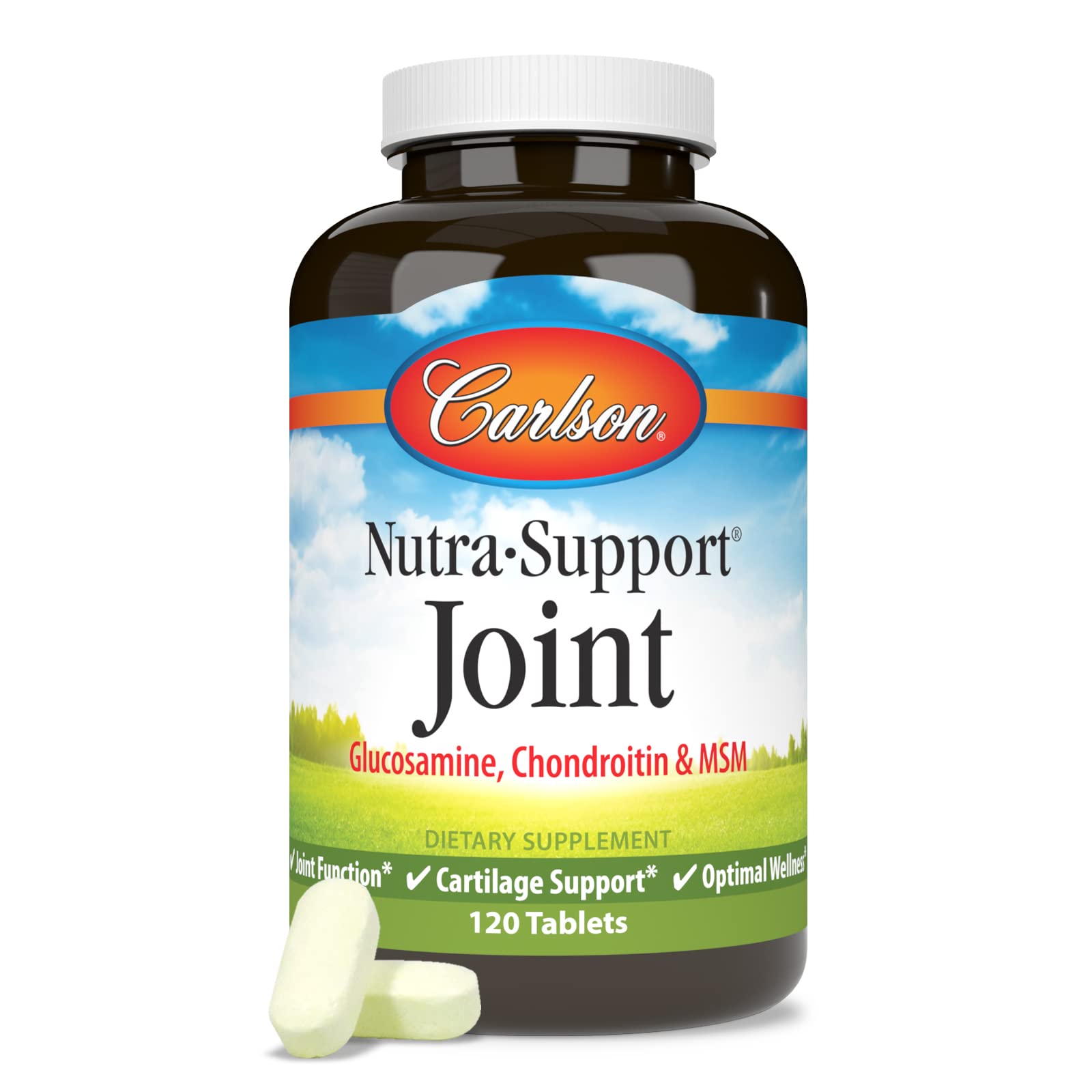 Cartilage support and healthy joints concept