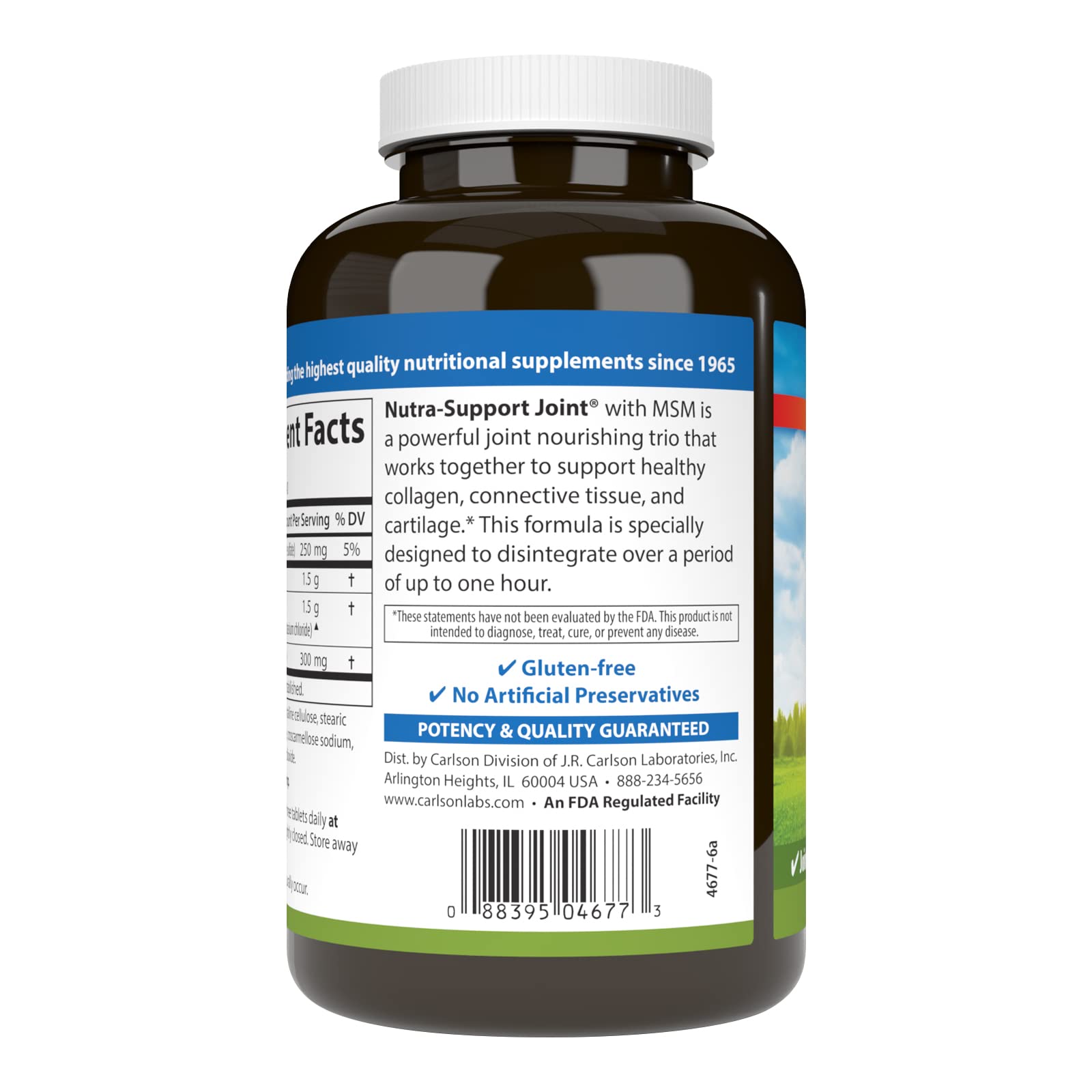Close-up of glucosamine, chondroitin, and MSM ingredients