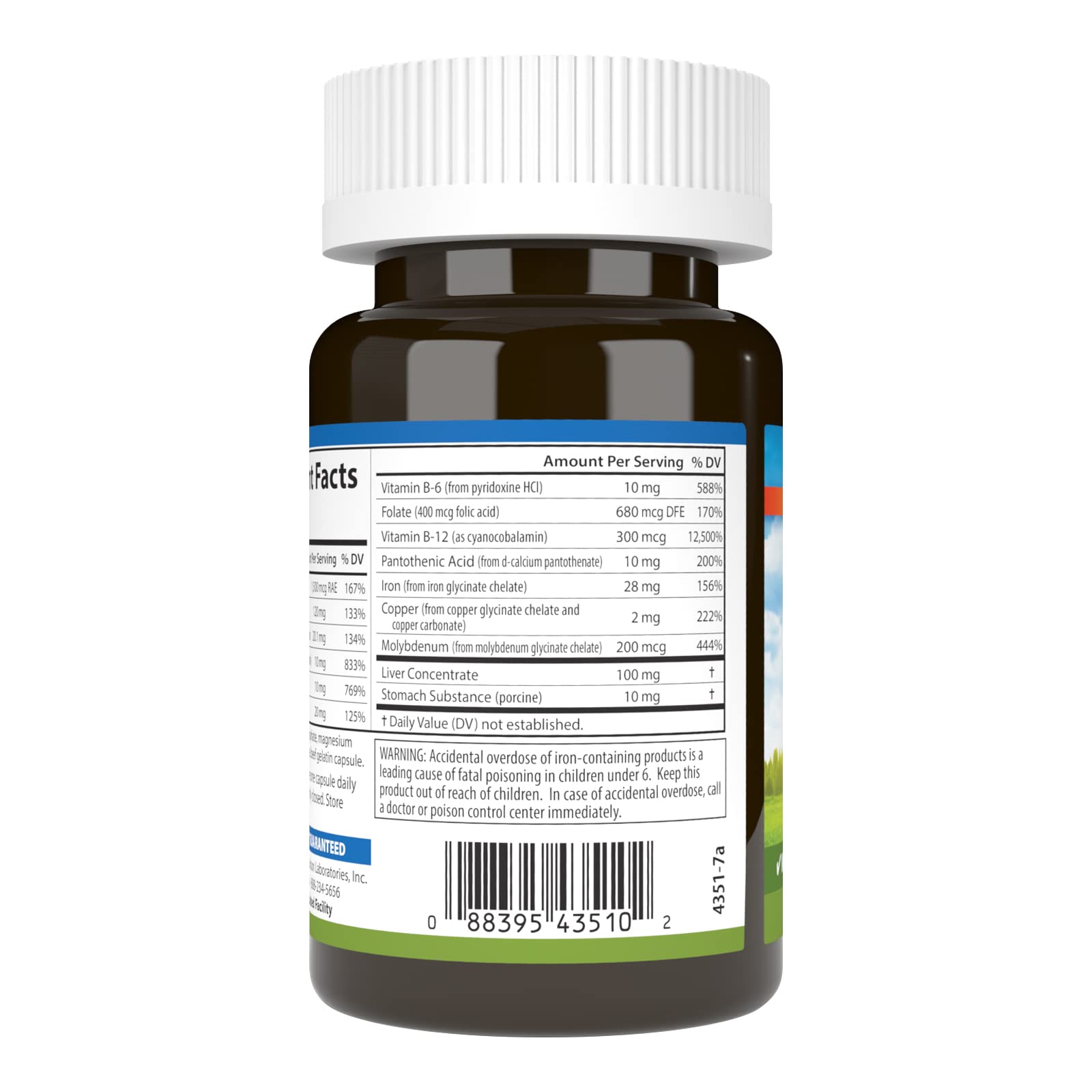 Graphic of red blood cell formation