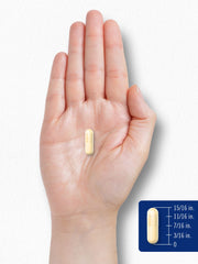 Bottle on white background with 90 capsules