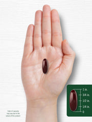Front and back packaging of Carlyle Black Seed Oil Softgel Capsules