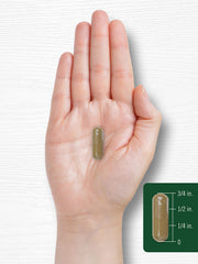 Healthy lifestyle concept with Carlyle Dandelion Root