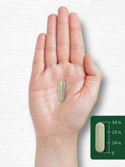 Lifestyle scene featuring Carlyle Dong Quai capsules