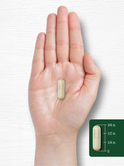 Product packaging and Carlyle branding for Garcinia Cambogia