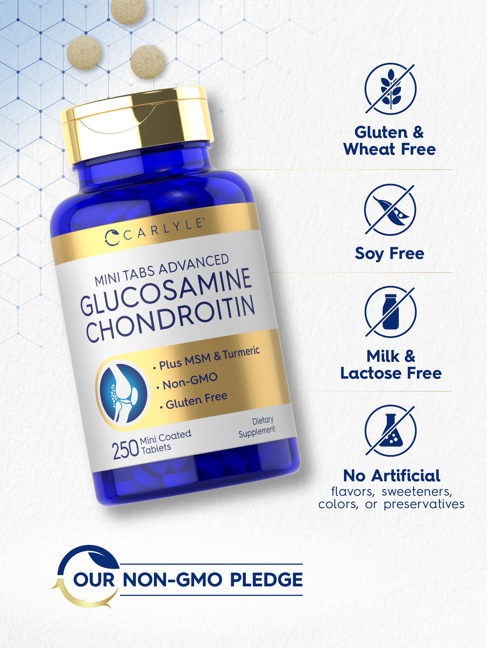 Ingredients panel for Carlyle Glucosamine Chondroitin MSM