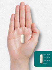 Detailed label highlighting L-Theanine 200mg per capsule