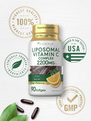 Vitamin C Liposomal matrix illustration