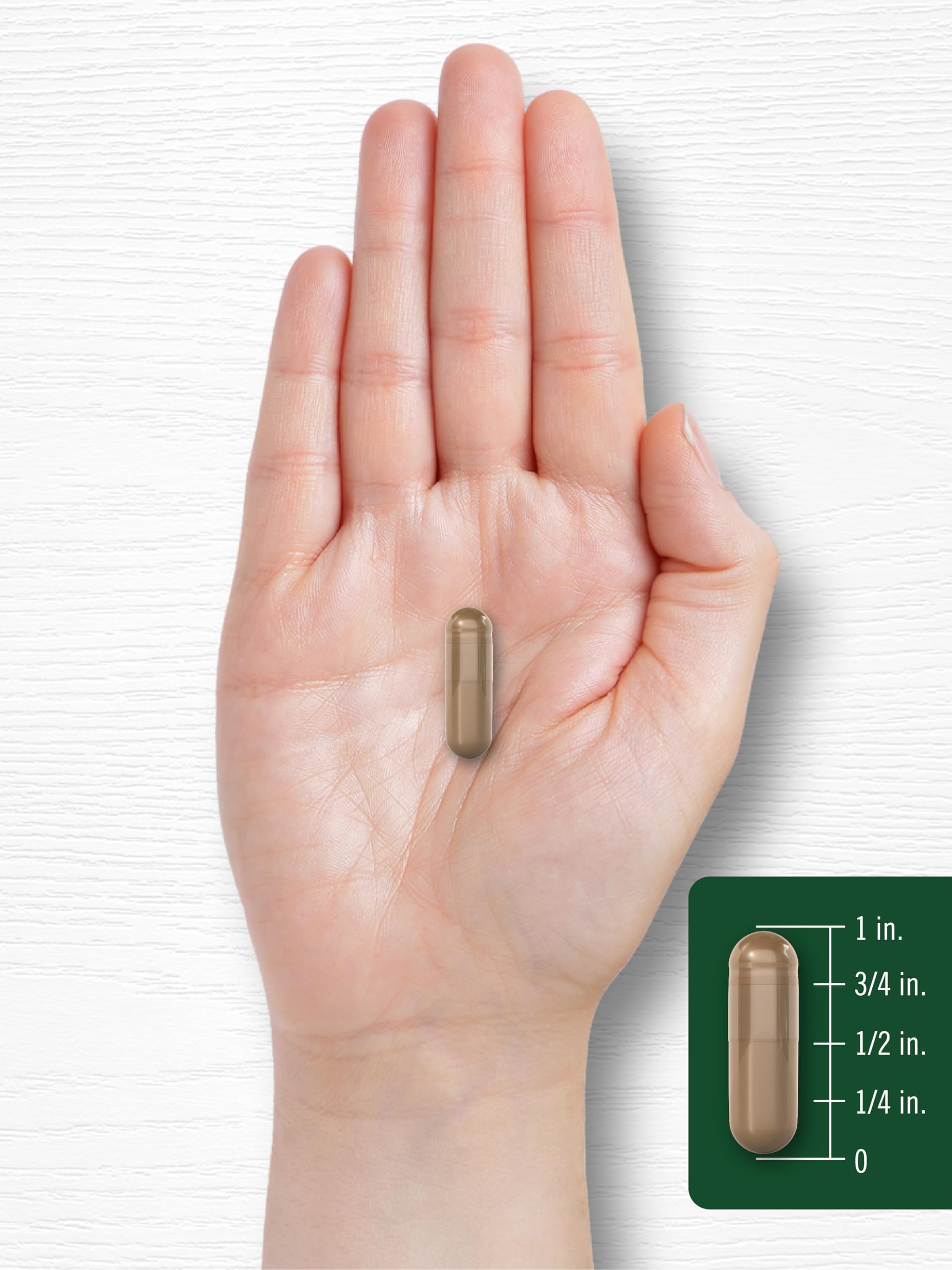 Healthy lifestyle scene with olive leaves and supplement bottle