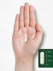 Product packshot: Carlyle Plant Enzymes multi-enzyme blend