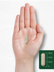 Product label featuring rosemary illustration