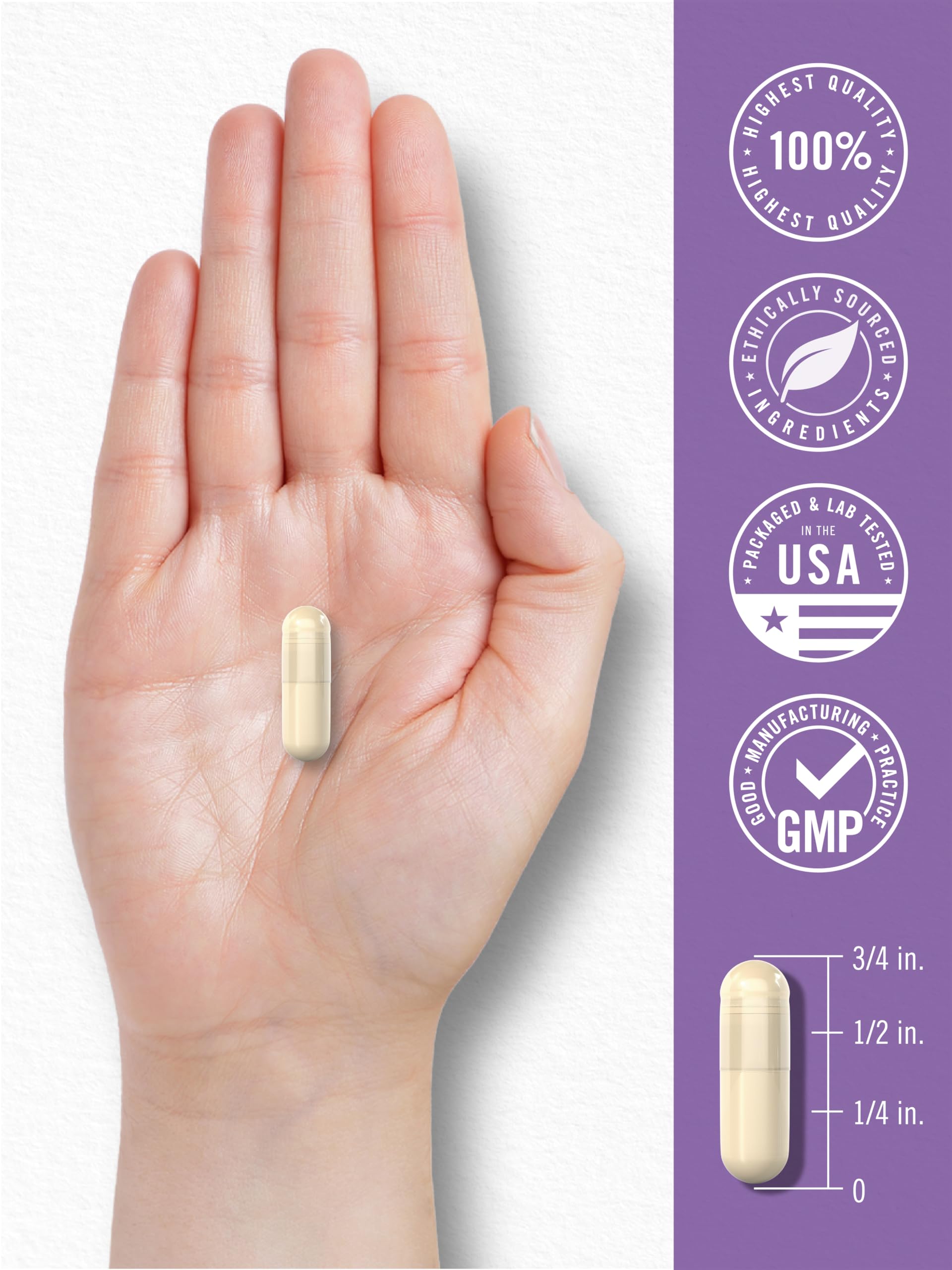 Lifestyle image suggesting daily probiotic routine