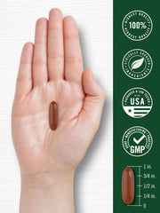 200 count Carlyle Sunflower Lecithin Softgel bottle and box