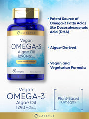 Algae oil illustration for plant-based DHA