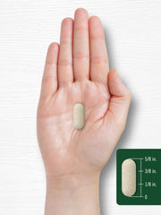 Pack of 2 Carlyle Vitamin C bottles banner