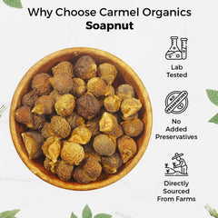 CARMEL ORGANICS Soapnut used as natural hair cleanser concept