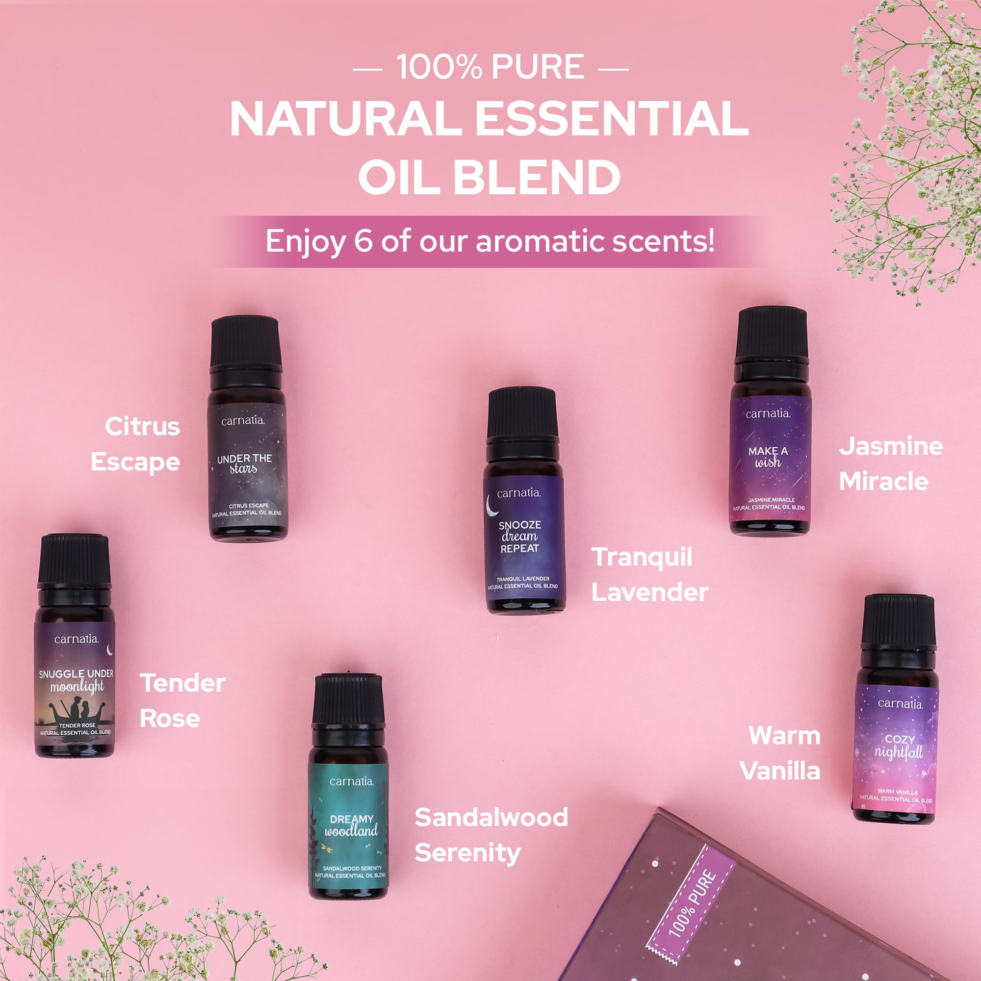Calming oils branding and relaxation theme for Carnatia Sleep Essentials