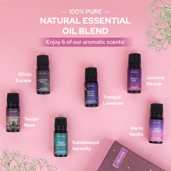 Calming oils branding and relaxation theme for Carnatia Sleep Essentials