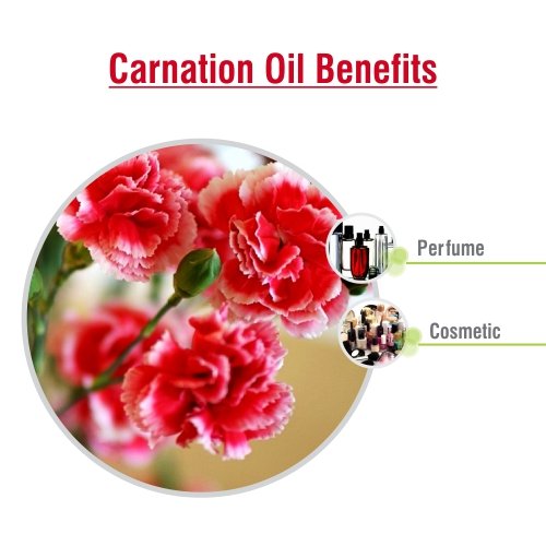 Color and aroma of carnation oil from yellowish-brown to green