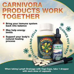 Carnivora Vegi-Caps-pack on shelf illustrating gluten and dairy-free lifestyle compatibility