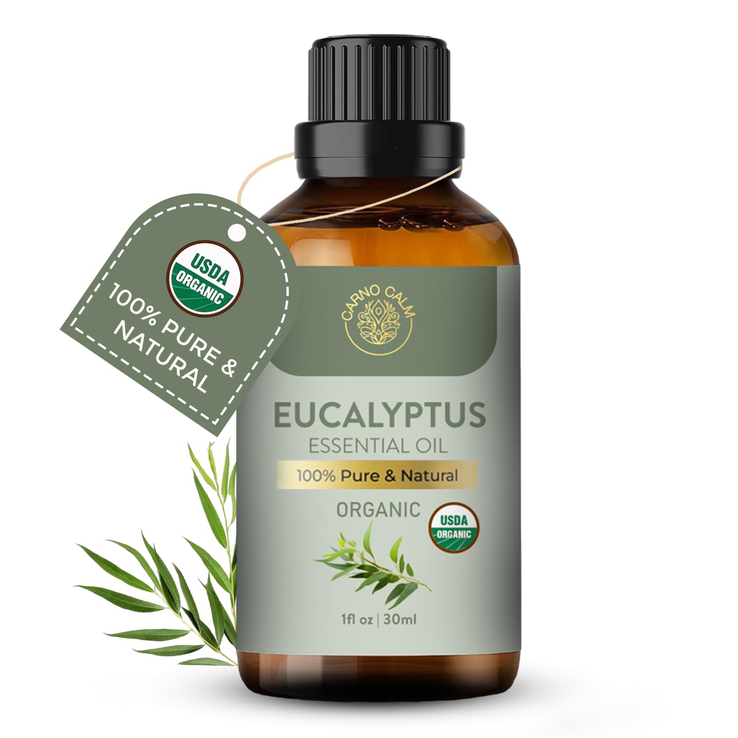 Pure eucalyptus essential oil in dropper
