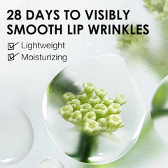 CARSLAN Hydrating Lip Gloss Serum application demonstrates even lip coverage
