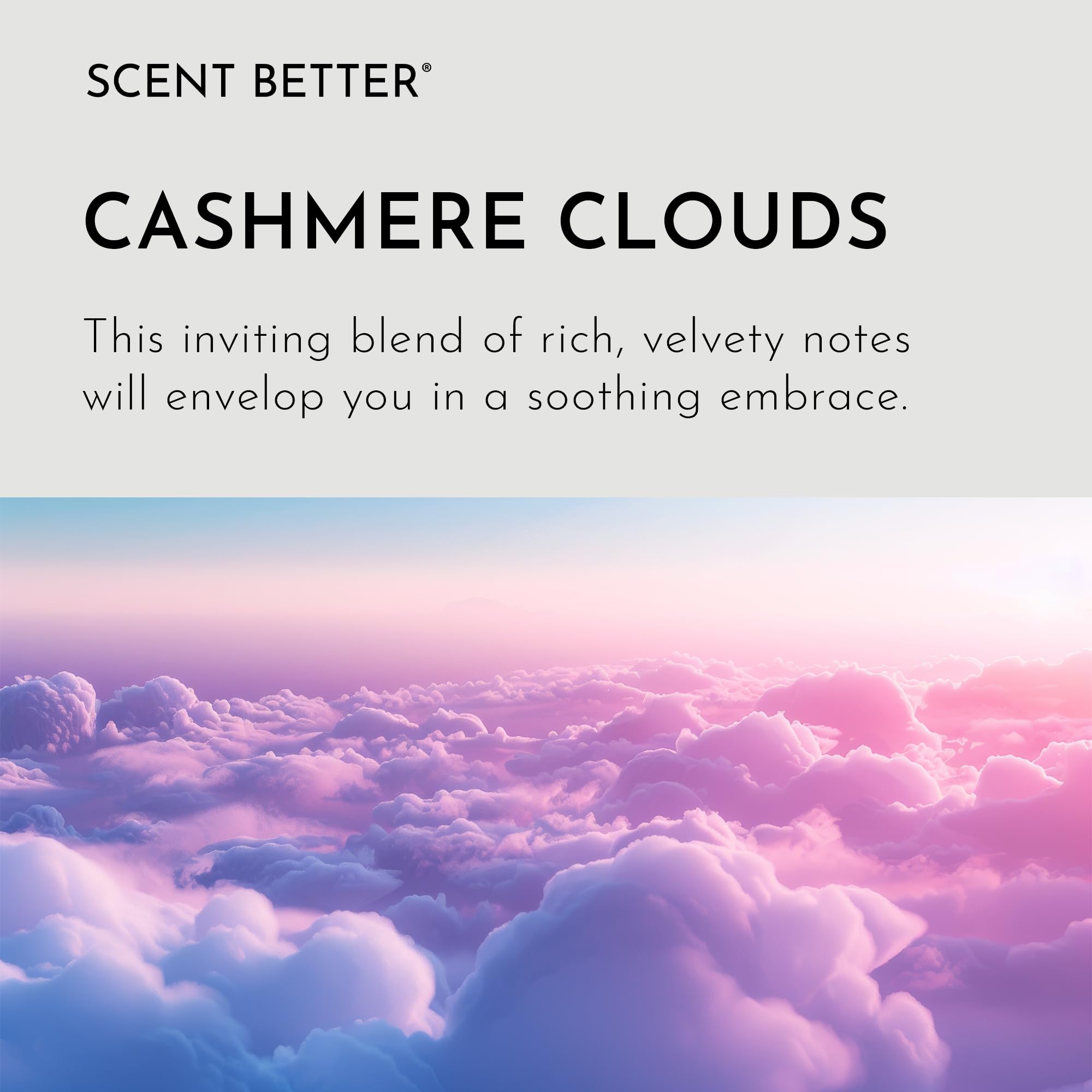 Close-up of Cedar, Vanilla and Amber aroma notes in Cashmere Clouds essential oil