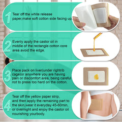Images showing suitable application areas: abdomen, belly, liver, back, thighs
