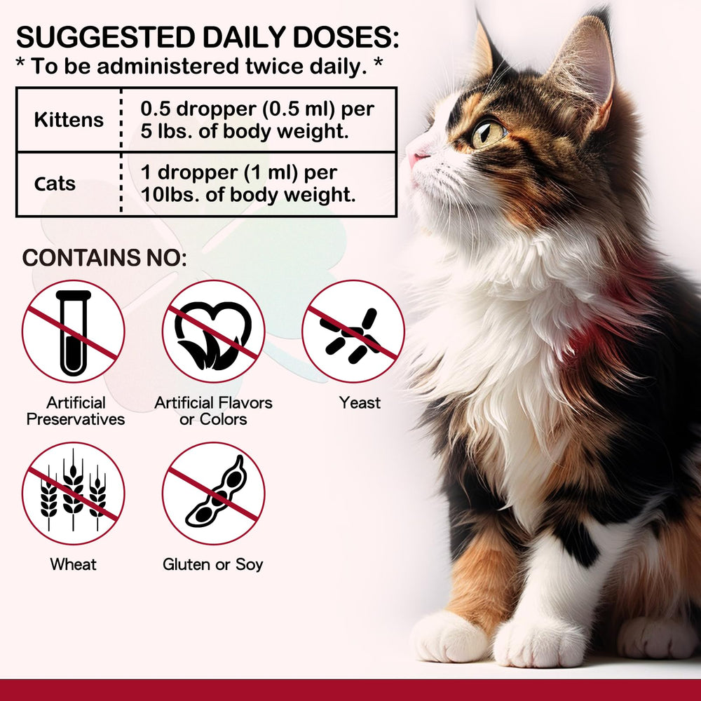 Cat drinking water with iron supplement mixed in