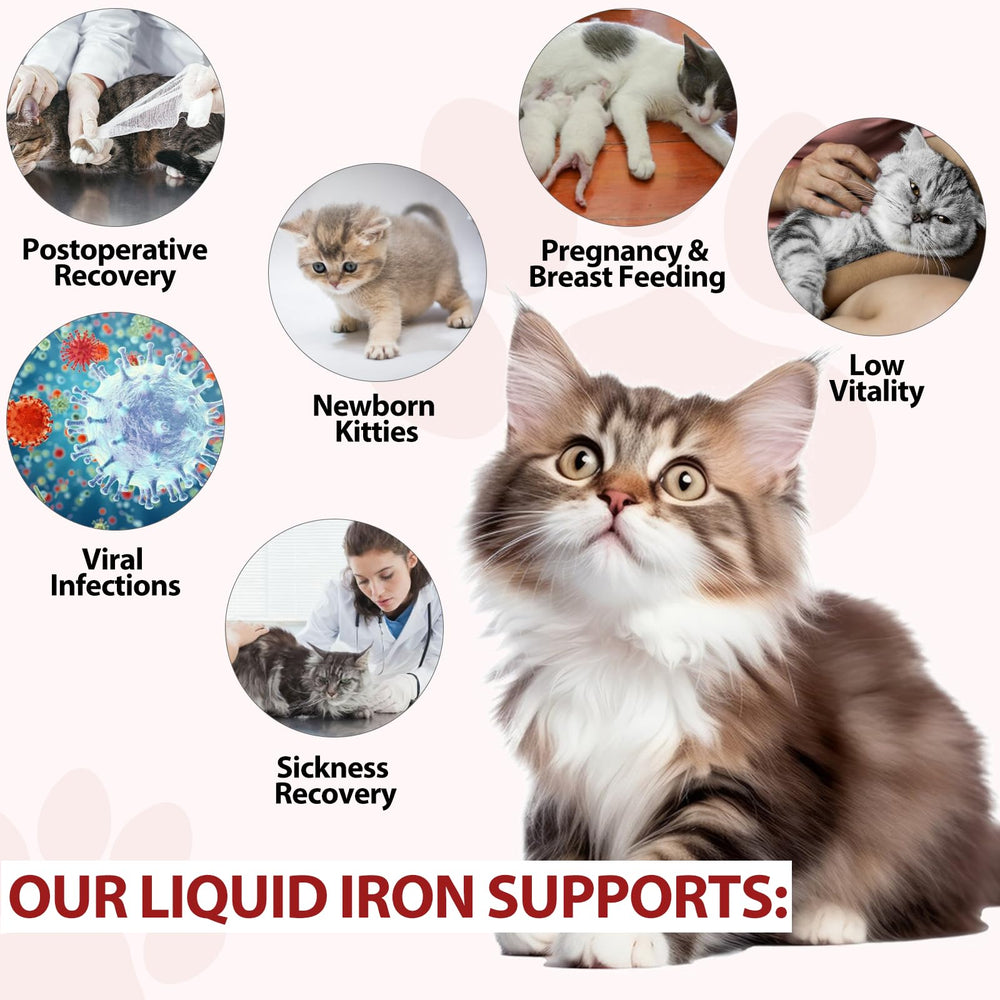 Ingredients: iron, folate, and vitamin B12 for cats