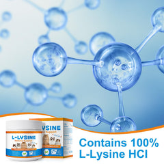 Close-up of a cat eye health and L-Lysine benefits