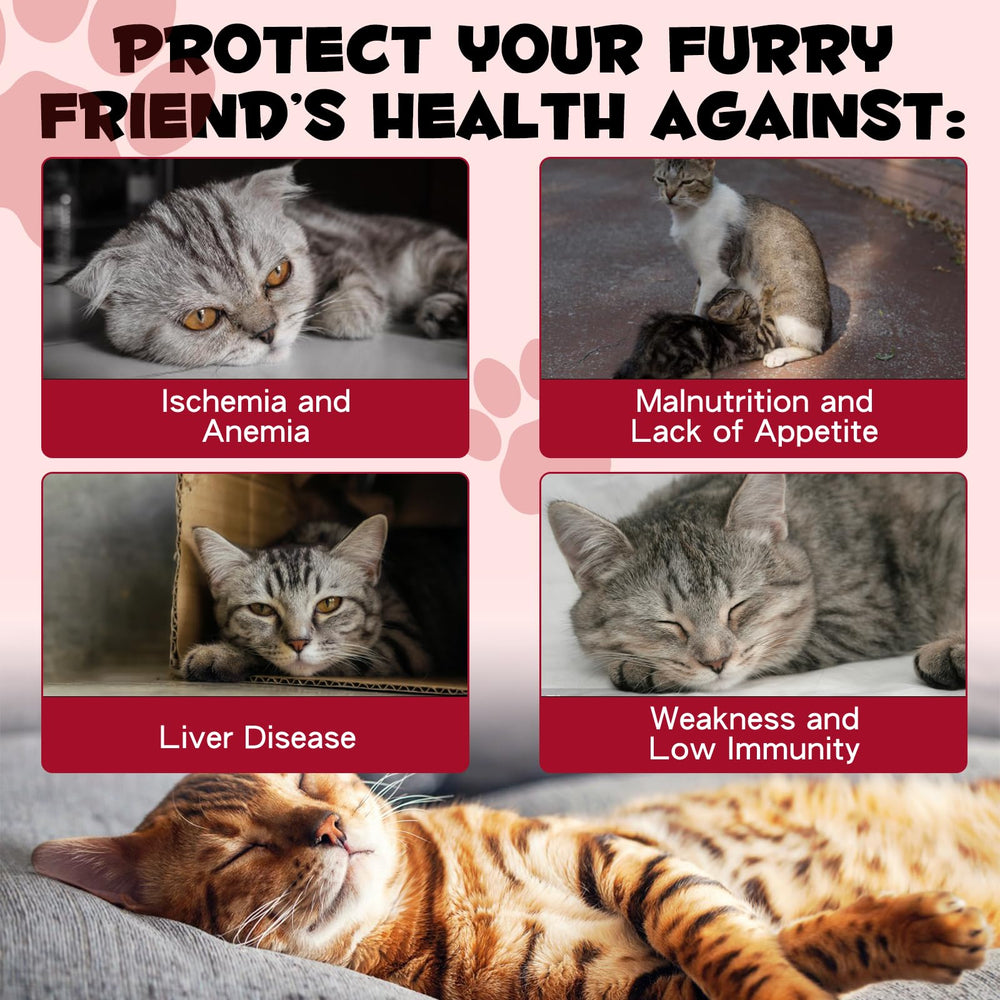 Liquid iron supplement measured for cat dosage chart