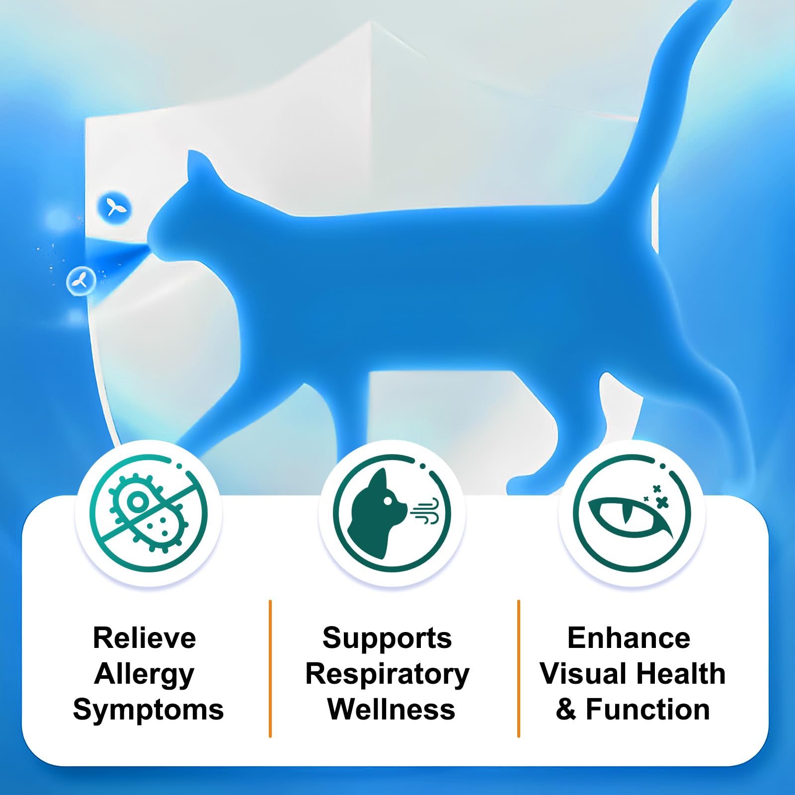 Cat being supported by L-Lysine for respiratory health