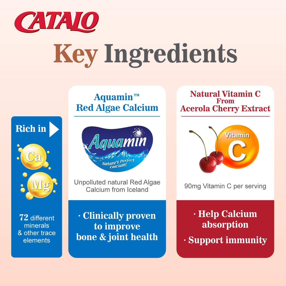 Bioavailable, plant-based calcium with enhanced absorption