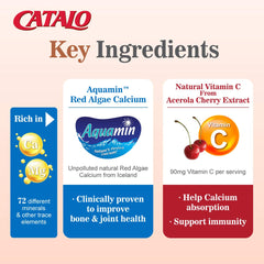 Bioavailable, plant-based calcium with enhanced absorption