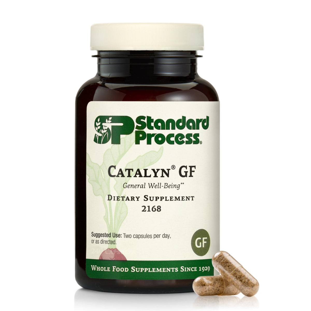 Bottle of Standard Process Catalyn Gluten Free 240 count capsules