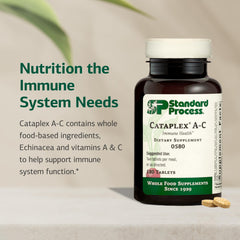 Graphic representing vitamins A and C as antioxidants