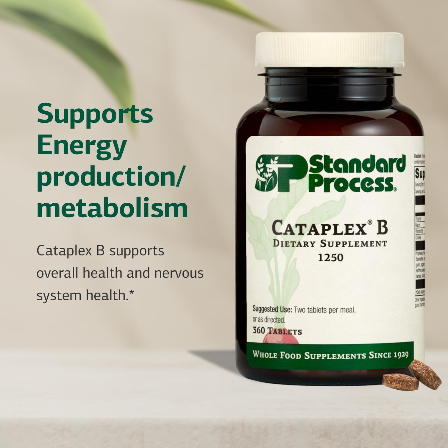 Close-up of Cataplex B ingredient label highlighting B vitamins